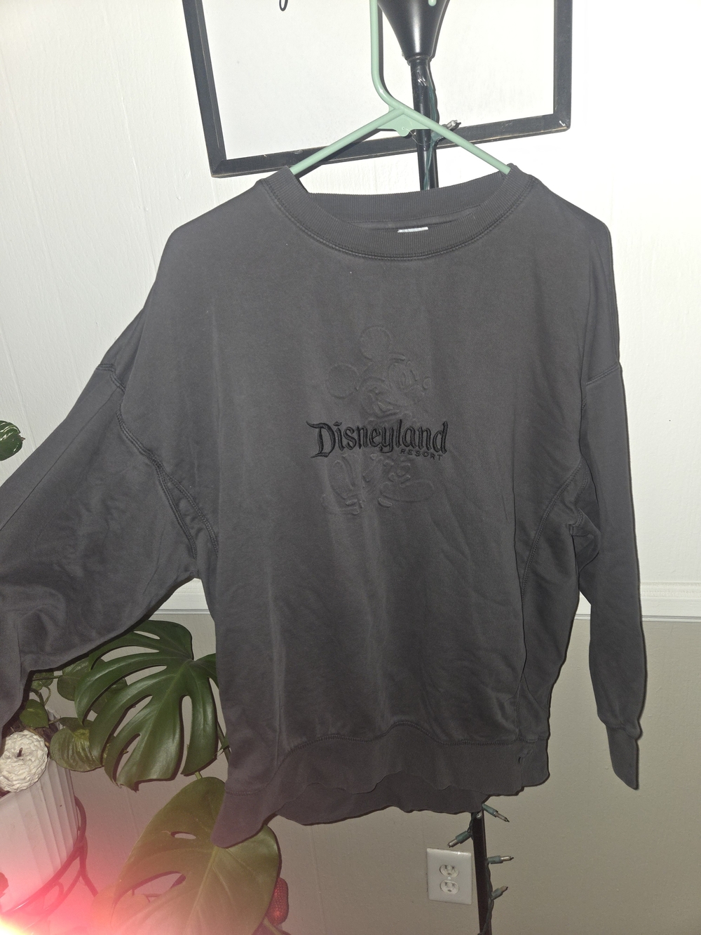 Disneyland Women’s Crewneck Sweatshirt in Dark Gray
